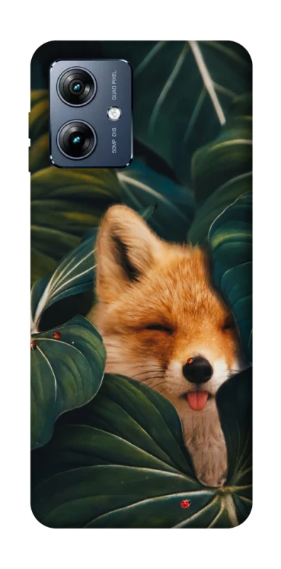 Чохол на Motorola Moto G54 Power Fox фото 1 з 1