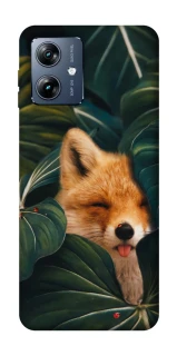 Чехол на Motorola Moto G54 Power Fox фото 1 из 1