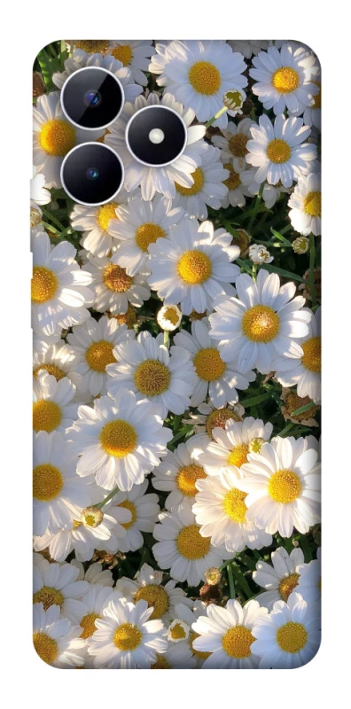 Чехол на Realme Note 50 5G Поле ромашек фото 1 из 1