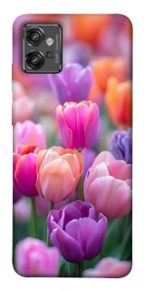 Чохол на Motorola Moto G32 Тюльпанове поле фото 1 з 1