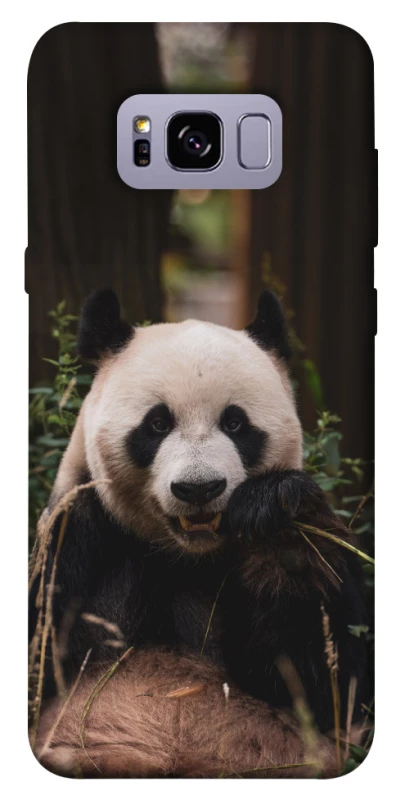 Чохол на Samsung G955 Galaxy S8 Plus Панда фото 1 з 1