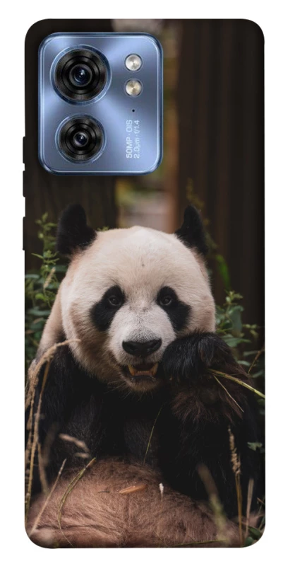 Чехол на Motorola Edge 40 Панда фото 1 из 1