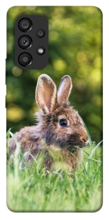 Чехол на Samsung Galaxy A53 5G Кролики фото 1 из 1