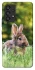 Чехол на Samsung Galaxy A53 5G Кролики фото 1 из 1