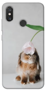 Чохол на Xiaomi Mi 8 Bunny фото 1 з 1