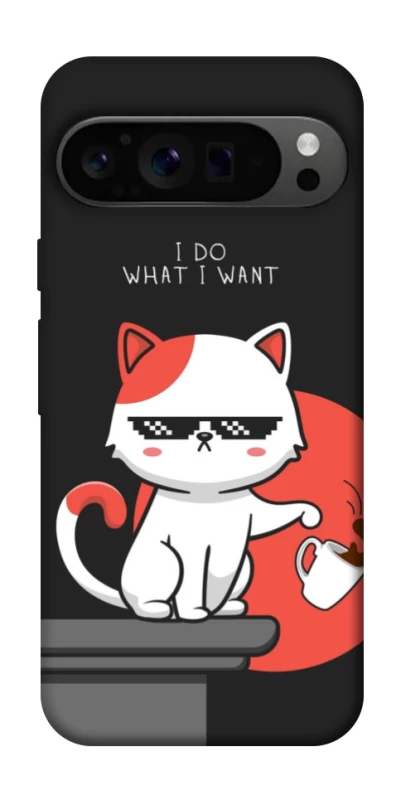 Чохол на Google Pixel 9 Pro I do what i wont фото 1 з 1