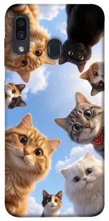Чехол на Samsung Galaxy A20 / A30 Cats фото 1 из 1
