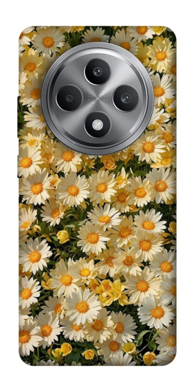 Чохол на Oppo Reno 12 F 4G Camomile фото 1 з 1