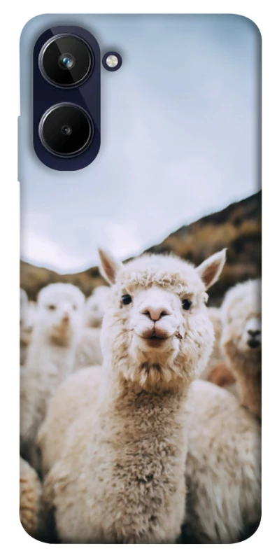 Чехол на Realme 10 4G Лама фото 1 из 1