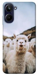 Чохол на Realme 10 4G Лама фото 1 з 1
