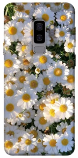 Чохол на Samsung Galaxy S9+ Поле ромашок фото 1 з 1
