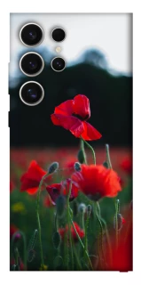 Чехол на Samsung Galaxy S25 Ultra Мак фото 1 из 1