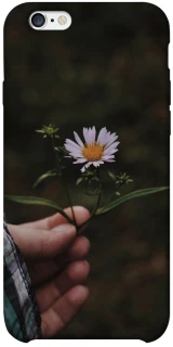 Чехол на Apple iPhone 6/6s plus (5.5") Ромашка v4 фото 1 из 1