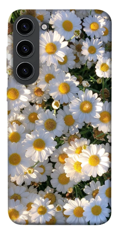 Чохол на Samsung Galaxy S23 Поле ромашок фото 1 з 1