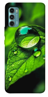 Чохол на Motorola Moto G60 Flowers v16 фото 1 з 1