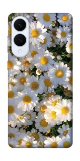 Чехол на Samsung Galaxy S25 Edge Поле ромашек фото 1 из 1