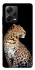 Чехол на Xiaomi Redmi Note 12 Pro 5G Leopard v2 фото 1 из 1