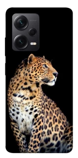Чохол на Xiaomi Redmi Note 12 Pro+ 5G Leopard v2 фото 1 з 1