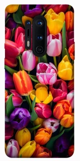 Чохол на OnePlus 8 Pro Flowers v30 фото 1 з 1