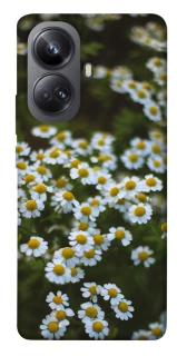 Чехол на Realme 10 Pro+ Ромашки v13 фото 1 из 1