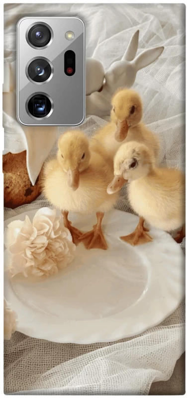 Чохол на Samsung Galaxy Note 20 Ultra Easter Vibes фото 1 з 1