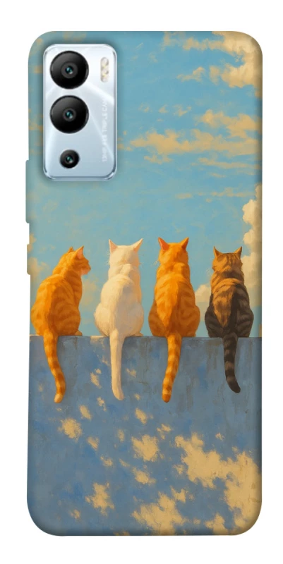 Чохол на Infinix Hot 12i cats on wall фото 1 з 1