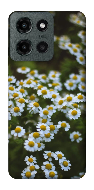Чохол на Motorola Moto G Power (2025) Ромашки v13 фото 1 з 1