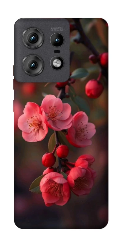 Чохол на Motorola Edge 50 Pro Flowers v28 фото 1 з 1