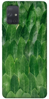 Чехол на Samsung Galaxy A71 Листья фото 1 из 1