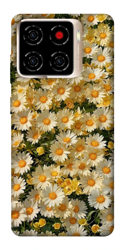 Чохол на ZTE Blade A56 Camomile фото 1 з 1