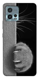 Чохол на Motorola Moto G72 Spy Cat фото 1 з 1