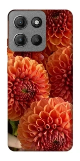 Чохол на Motorola Moto G15 4G Flower1 фото 1 з 1