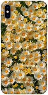 Чехол на Apple iPhone X (5.8") Camomile фото 1 из 1