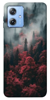 Чехол на Motorola Moto G84 Red Wood фото 1 из 1