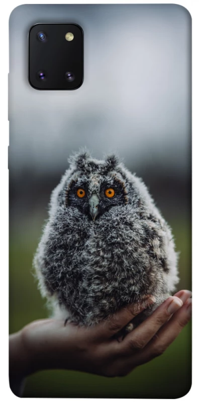 Чехол на Samsung Galaxy Note 10 Lite (A81) Совёнок фото 1 из 1