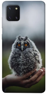 Чехол на Samsung Galaxy Note 10 Lite (A81) Совёнок фото 1 из 1