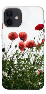 Чохол на Apple iPhone 12 mini (5.4") Поле маків фото 1 з 1