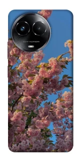 Чохол на Realme C67 4G Flowers v4 фото 1 з 1