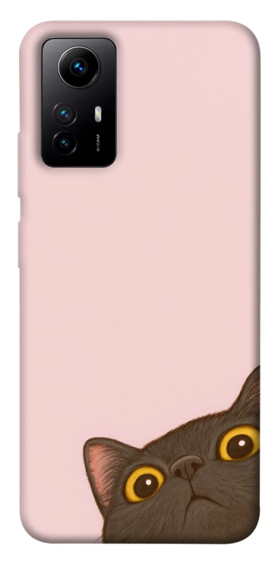 Чохол на Xiaomi Redmi Note 12S Peeping cat фото 1 з 1