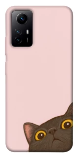 Чохол на Xiaomi Redmi Note 12S Peeping cat фото 1 з 1