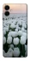 Чохол на Samsung Galaxy A06 Flowers v1 фото 1 з 1