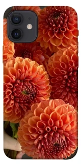 Чехол на Apple iPhone 12 (6.1") Flower1 фото 1 из 1