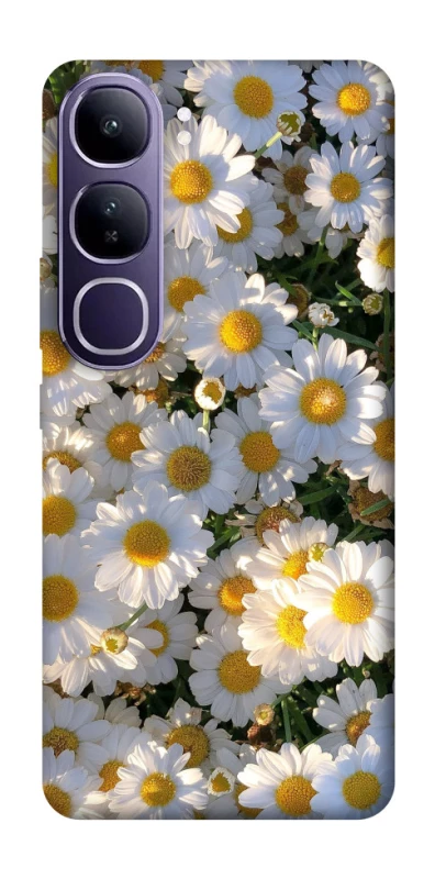 Чехол на Vivo Y300 Поле ромашек фото 1 из 1