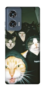 Чохол на Motorola Edge 50 Сatsss фото 1 з 1