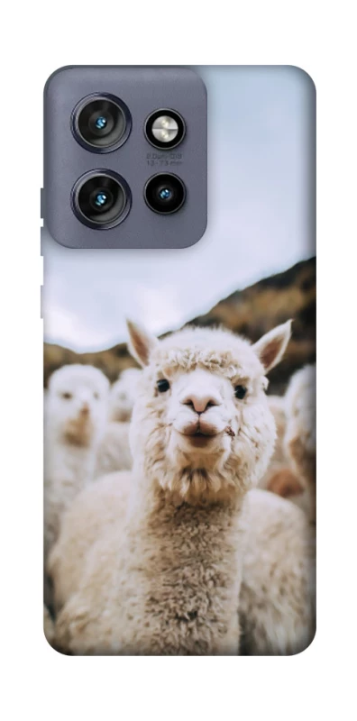Чохол на Motorola Edge 50 Neo Лама фото 1 з 1