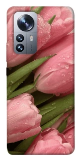 Чохол на Xiaomi 12 / 12X Beauty фото 1 з 1