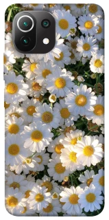 Чохол на Xiaomi Mi 11 Lite Поле ромашок фото 1 з 1