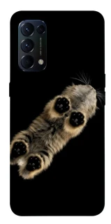 Чехол на Oppo Reno 5 4G Cat фото 1 из 1