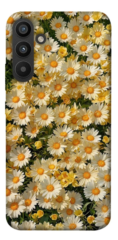 Чохол на Samsung Galaxy A34 5G Camomile фото 1 з 1