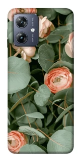 Чохол на Motorola Moto G54 Eternal Spring фото 1 Чохол на Motorola Moto G54 Eternal Spring фото 1 з 1
